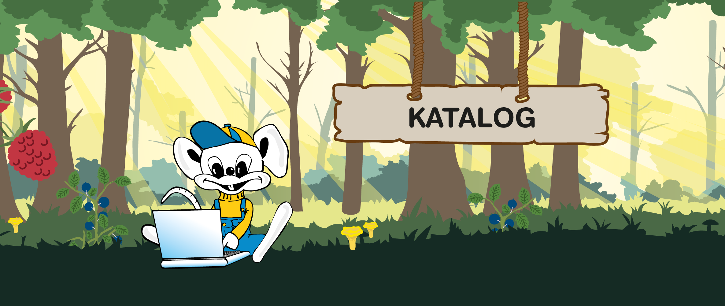 Katalog