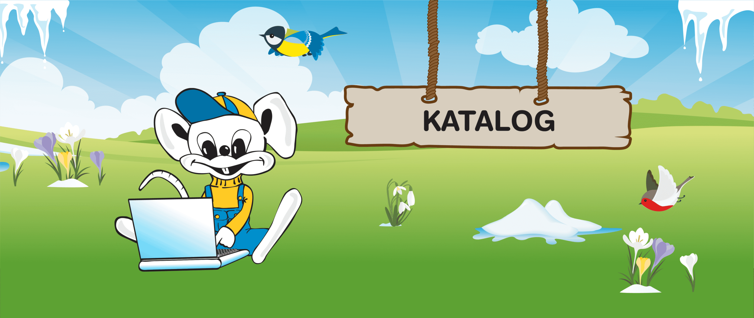Katalog